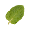 Zalado